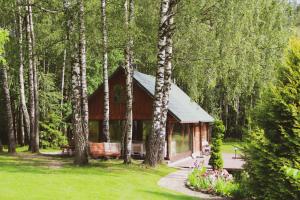 a cabin in the middle of a forest with trees at Storių sodyba in Anykščiai