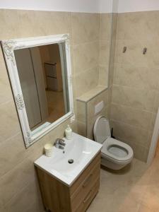 uma casa de banho com um lavatório, um WC e um espelho. em Apartment Pitesti em Piteşti