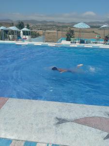 une personne nageant dans une grande piscine dans l'établissement Maliana Star, à Tetouan