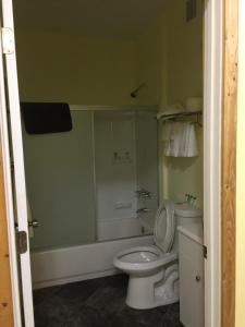 a bathroom with a toilet and a sink at Cantwell Lodge in Cantwell