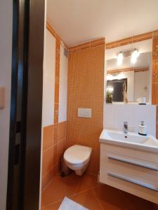 a bathroom with a toilet and a sink at Garden cottage U lesa pod Radyní in Starý Plzenec
