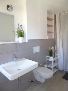 ein Badezimmer mit einem weißen Waschbecken und einem WC in der Unterkunft Ferienwohnung Scharnhorst in Teningen
