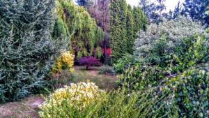 Natuurlandschap vlak bij het vakantiehuis