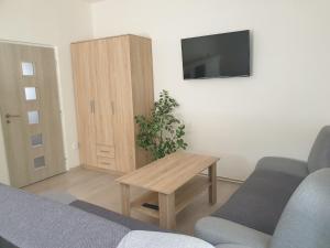 TV a/nebo společenská místnost v ubytování Penzion a hospůdka U Anny