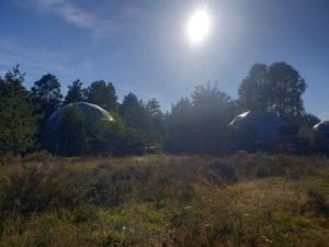 博尔斯克Podniebny Glamping的相册照片