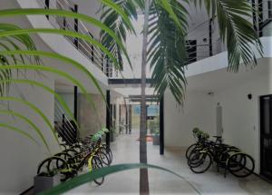 uma fila de bicicletas estacionadas num corredor com uma palmeira em Sole Suites em Playa del Carmen