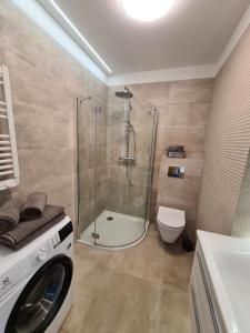 Koupelna v ubytování Apartament Blue Bay Jantar + 22 fotografií