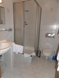 Un baño con ducha, inodoro y lavabo. en Landhotel Rappenhof, en Arnbruck