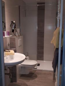 a bathroom with a toilet and a sink and a shower at Simonbauerhof in Bad Kleinkirchheim