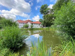 a pond in front of a building with a house at Waldhaus Oelper in Braunschweig