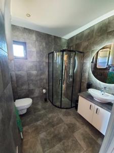 a bathroom with a shower and a toilet and a sink at Osada Orlica klimatyczne domki z widokiem na góry i termalnym SPA sauna jacuzzi 4 km od Zieleniec Ski Arena in Lasowka