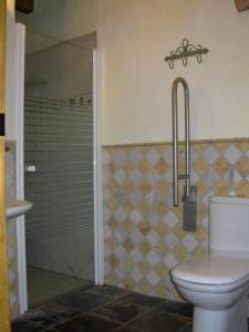 a bathroom with a shower and a toilet at La Tiná in Segura de la Sierra