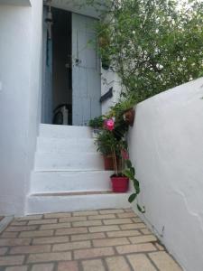 a stairway with potted plants and a white wall at Alojamiento con encanto in Vejer de la Frontera