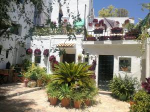 a white building with potted plants in front of it at Alojamiento con encanto in Vejer de la Frontera