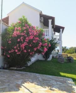 a bush with pink flowers in front of a house at spiros maria studios in Corfu Town