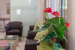 a red flower in a pot in a living room at Hotel Adigrat in Riccione