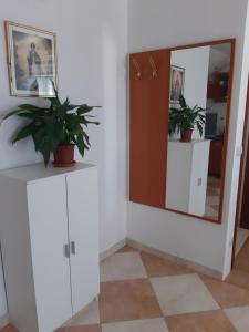 Fotografie z fotogalerie ubytování Apartments T & D v destinaci Lopud Island
