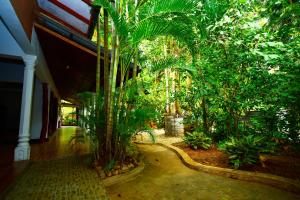 a palm tree in the middle of a courtyard at Ariya Rest & Ayurveda spa in Polonnaruwa