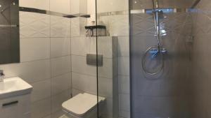 a bathroom with a shower with a toilet and a sink at Apartament NATURA in Piekielnik