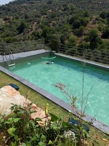 Photo de la galerie de l'établissement Kirkinca Hotel, à Selçuk 70 autres photos