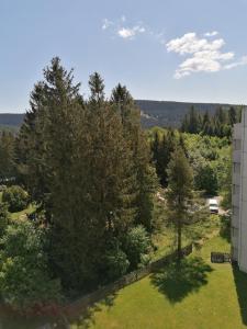 uma vista superior de um pátio com árvores e um edifício em Harz Stube em Goslar