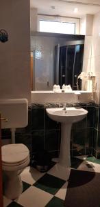 皮亞特拉尼亞姆茨的住宿－GRAND HOTEL CEAHLAU，一间带卫生间、水槽和镜子的浴室