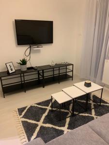 A television and/or entertainment centre at Zenit Apartman