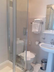 a bathroom with a shower and a toilet and a sink at Hôtel P.L.M. in Cannes