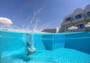 a dolphin in the water in a swimming pool at Incognito Creta Luxury Suites and More in Kolymvari