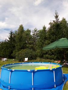 a large trampoline in a field with an umbrella at Dom Pod Sosnami in Lidzbark