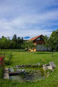 ein Haus mit einem Teich vor einem Hof in der Unterkunft Bee House Maya in Rob