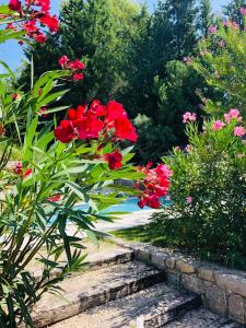 un jardin avec des fleurs rouges et un chemin en pierre dans l'établissement Mas Lou Piastoun, à Fayence