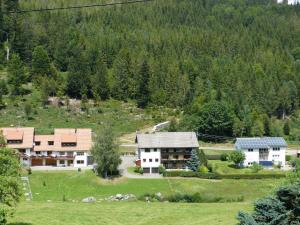 una vista aérea de una casa en un campo en Ferienwohnung Haus Wiesengrund en Forbach