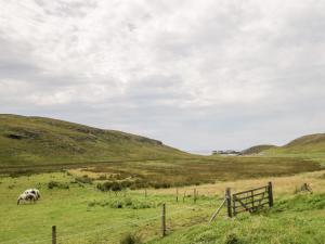 a cow grazing in a field with a fence at Deer House in Oldshore