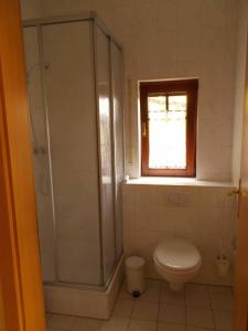 een badkamer met een douche, een toilet en een raam bij Ferienwohnung Lohse in Kurort Altenberg