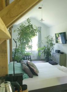 La petite maison du jardin d'Apollon في دوردان: غرفة نوم فيها سرير عليه نباتات