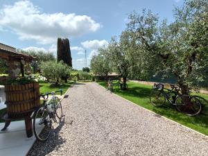 a bike parked on a gravel path in a park at Le Zampolle B & B in Colà di Lazise
