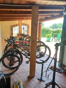 Posilňovňa alebo fitness centrum v ubytovaní Le Zampolle B & B