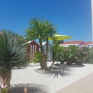 a courtyard with palm trees and a red building at Au bois flotté in Saint-Pierre-dʼOléron