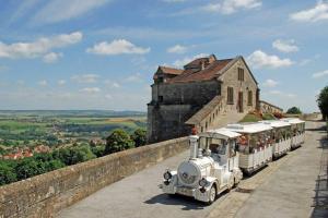 Photo de la galerie de l'établissement Le nid d hirondelles - Terrasse Jardin Grand garage, à Langres