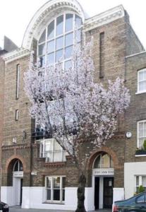 een bloeiende boom voor een bakstenen gebouw bij Notting Hill Luxury 3BR Duplex Modern Spacious Gem in Londen