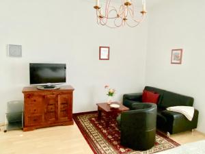 TV a/nebo společenská místnost v ubytování Villa Bergfried