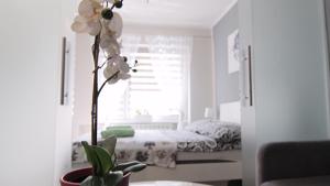 Posteľ alebo postele v izbe v ubytovaní Apartament Tygrys