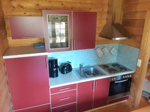 una pequeña cocina con armarios rojos y fregadero en Villa Weitblick, en Waldmünchen