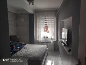 Televízia a/alebo spoločenská miestnosť v ubytovaní Apartament Tygrys
