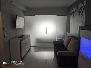 Televízia a/alebo spoločenská miestnosť v ubytovaní Apartament Tygrys