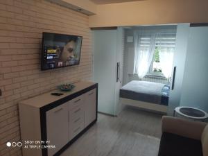 Televízia a/alebo spoločenská miestnosť v ubytovaní Apartament Tygrys