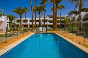 einem Pool mit Palmen vor einem Gebäude in der Unterkunft Paradise Club in Puerto del Carmen