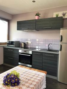 a kitchen with a stove and a sink and a refrigerator at Willa Nad Potokiem in Białka Tatrzanska