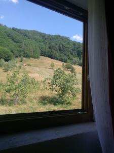 a window with a view of a field and trees at Pensiunea Costesti in Costeşti